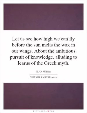 Let us see how high we can fly before the sun melts the wax in our wings. About the ambitious pursuit of knowledge, alluding to Icarus of the Greek myth Picture Quote #1