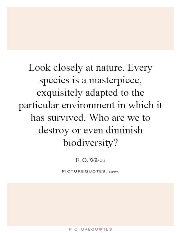 Look closely at nature. Every species is a masterpiece, exquisitely adapted to the particular environment in which it has survived. Who are we to destroy or even diminish biodiversity? Picture Quote #1
