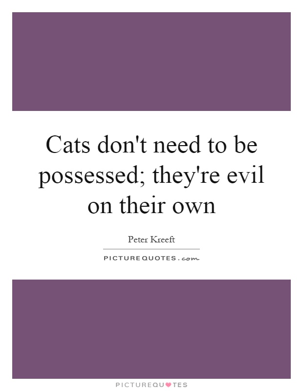 Cats don't need to be possessed; they're evil on their own Picture Quote #1