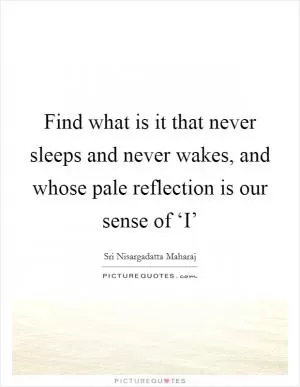 Find what is it that never sleeps and never wakes, and whose pale reflection is our sense of ‘I’ Picture Quote #1