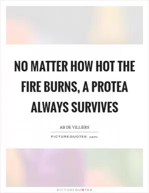 No matter how hot the fire burns, a Protea always survives Picture Quote #1