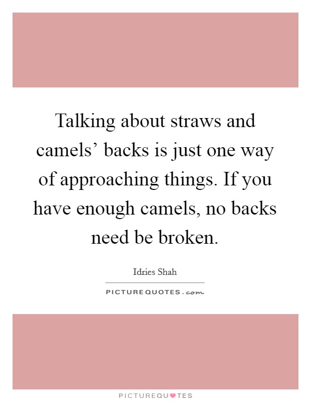 Talking about straws and camels' backs is just one way of approaching things. If you have enough camels, no backs need be broken Picture Quote #1