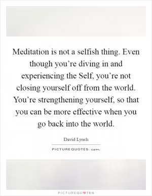Meditation is not a selfish thing. Even though you’re diving in and experiencing the Self, you’re not closing yourself off from the world. You’re strengthening yourself, so that you can be more effective when you go back into the world Picture Quote #1