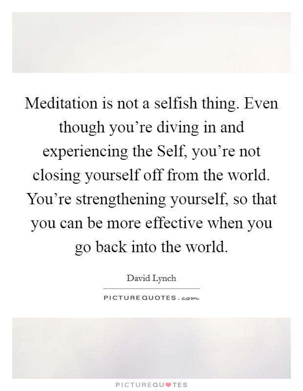 Meditation is not a selfish thing. Even though you're diving in and experiencing the Self, you're not closing yourself off from the world. You're strengthening yourself, so that you can be more effective when you go back into the world Picture Quote #1