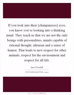 If you look into their [chimpanzees] eyes, you know you’re looking into a thinking mind. They teach us that we are not the only beings with personalities, minds capable of rational thought, altruism and a sense of humor. That leads to new respect for other animals, respect for the environment and respect for all life Picture Quote #1
