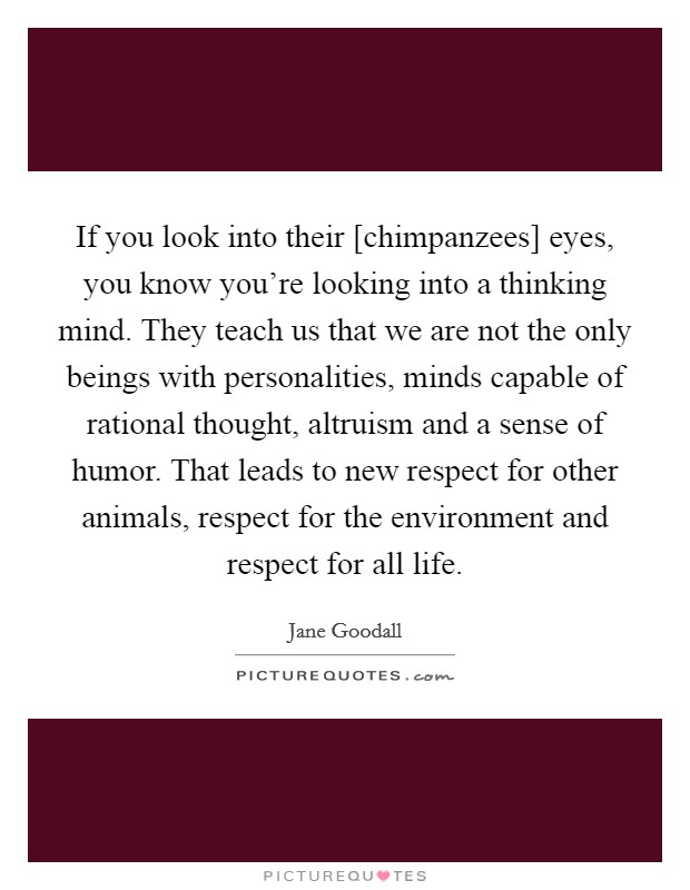 If you look into their [chimpanzees] eyes, you know you're looking into a thinking mind. They teach us that we are not the only beings with personalities, minds capable of rational thought, altruism and a sense of humor. That leads to new respect for other animals, respect for the environment and respect for all life Picture Quote #1