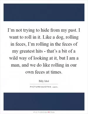 I’m not trying to hide from my past. I want to roll in it. Like a dog, rolling in feces, I’m rolling in the feces of my greatest hits - that’s a bit of a wild way of looking at it, but I am a man, and we do like rolling in our own feces at times Picture Quote #1