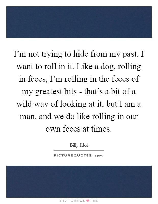 I'm not trying to hide from my past. I want to roll in it. Like a dog, rolling in feces, I'm rolling in the feces of my greatest hits - that's a bit of a wild way of looking at it, but I am a man, and we do like rolling in our own feces at times Picture Quote #1
