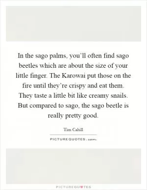 In the sago palms, you’ll often find sago beetles which are about the size of your little finger. The Karowai put those on the fire until they’re crispy and eat them. They taste a little bit like creamy snails. But compared to sago, the sago beetle is really pretty good Picture Quote #1