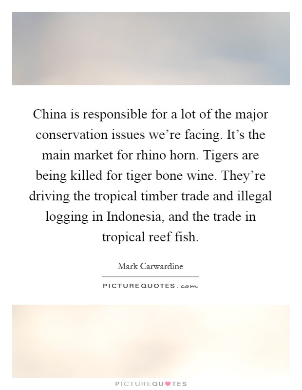 China is responsible for a lot of the major conservation issues we're facing. It's the main market for rhino horn. Tigers are being killed for tiger bone wine. They're driving the tropical timber trade and illegal logging in Indonesia, and the trade in tropical reef fish Picture Quote #1