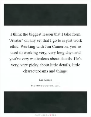 I think the biggest lesson that I take from ‘Avatar’ on any set that I go to is just work ethic. Working with Jim Cameron, you’re used to working very, very long days and you’re very meticulous about details. He’s very, very picky about little details, little character-isms and things Picture Quote #1