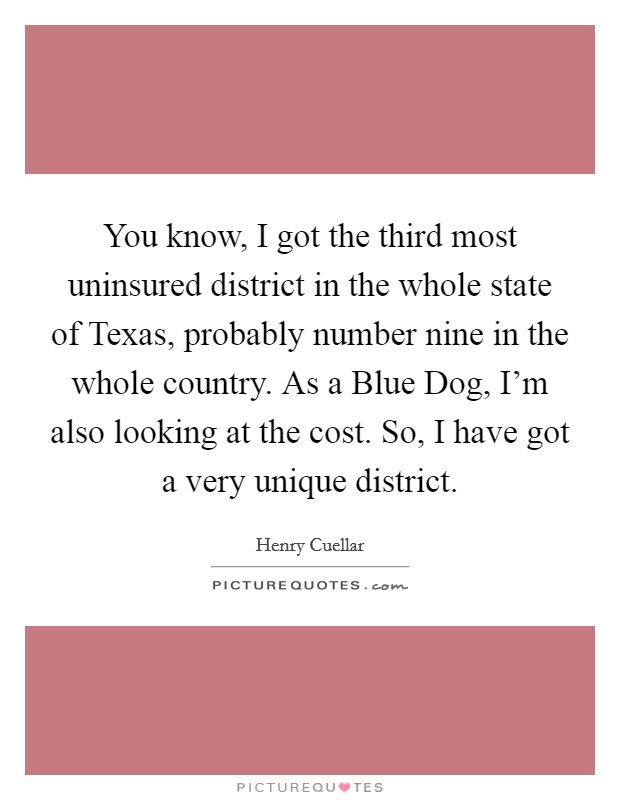 You know, I got the third most uninsured district in the whole state of Texas, probably number nine in the whole country. As a Blue Dog, I'm also looking at the cost. So, I have got a very unique district Picture Quote #1
