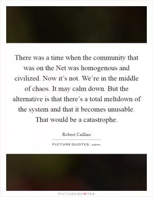 There was a time when the community that was on the Net was homogenous and civilized. Now it’s not. We’re in the middle of chaos. It may calm down. But the alternative is that there’s a total meltdown of the system and that it becomes unusable. That would be a catastrophe Picture Quote #1