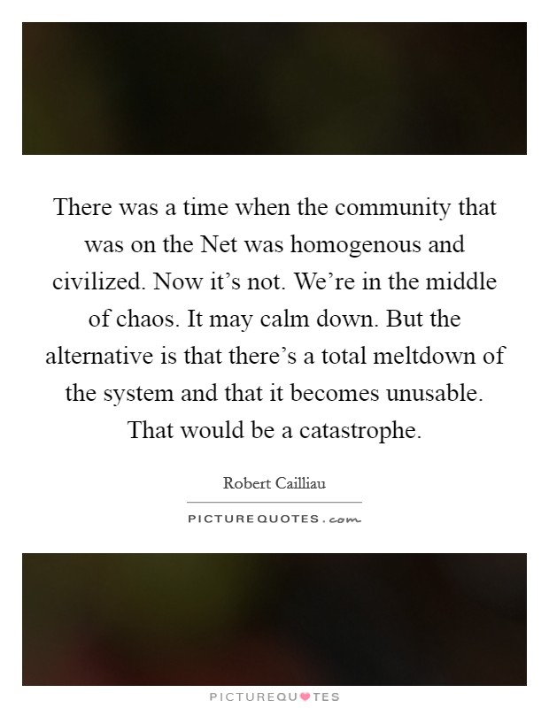 There was a time when the community that was on the Net was homogenous and civilized. Now it's not. We're in the middle of chaos. It may calm down. But the alternative is that there's a total meltdown of the system and that it becomes unusable. That would be a catastrophe Picture Quote #1
