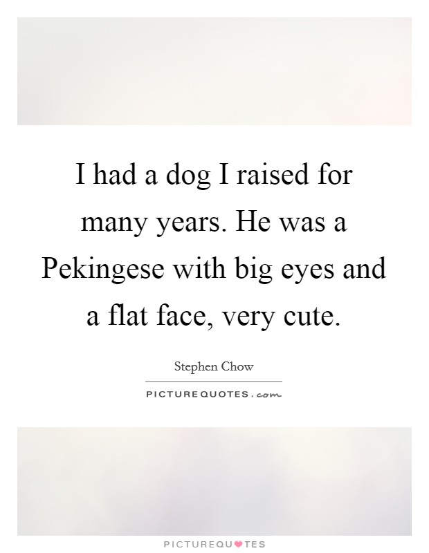 I had a dog I raised for many years. He was a Pekingese with big eyes and a flat face, very cute Picture Quote #1