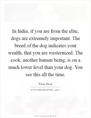 In India, if you are from the elite, dogs are extremely important. The breed of the dog indicates your wealth, that you are westernized. The cook, another human being, is on a much lower level than your dog. You see this all the time Picture Quote #1