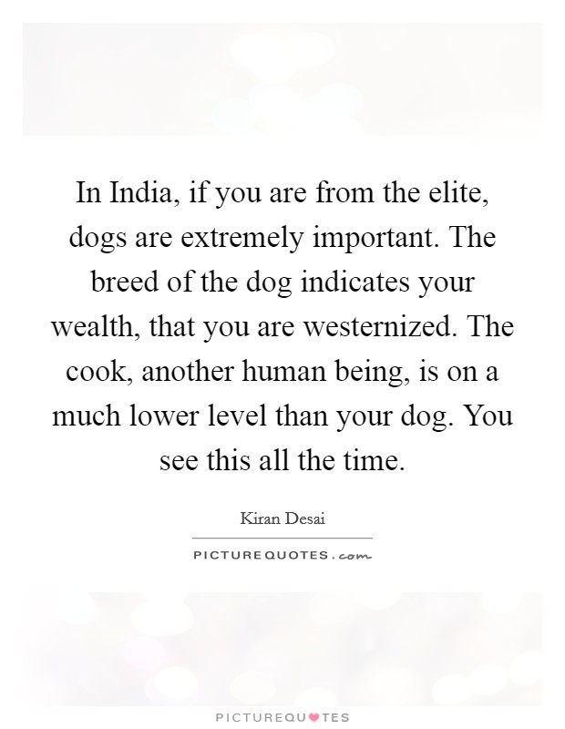 In India, if you are from the elite, dogs are extremely important. The breed of the dog indicates your wealth, that you are westernized. The cook, another human being, is on a much lower level than your dog. You see this all the time Picture Quote #1