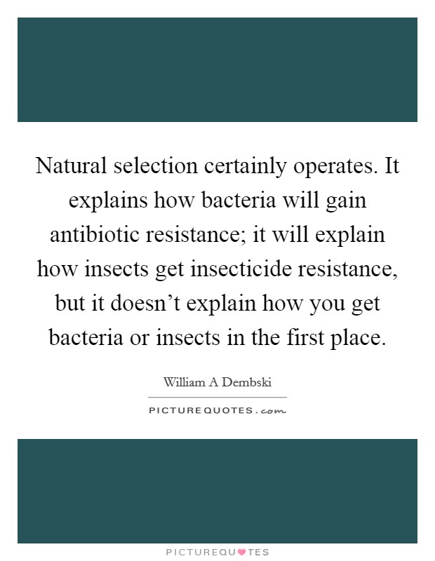 Natural selection certainly operates. It explains how bacteria will gain antibiotic resistance; it will explain how insects get insecticide resistance, but it doesn't explain how you get bacteria or insects in the first place Picture Quote #1