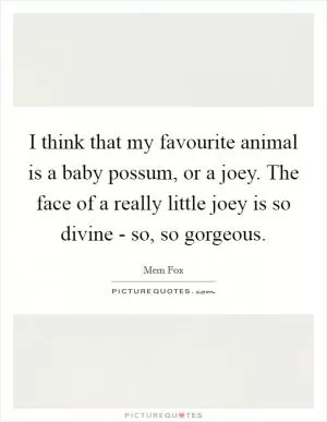I think that my favourite animal is a baby possum, or a joey. The face of a really little joey is so divine - so, so gorgeous Picture Quote #1