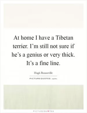 At home I have a Tibetan terrier. I’m still not sure if he’s a genius or very thick. It’s a fine line Picture Quote #1