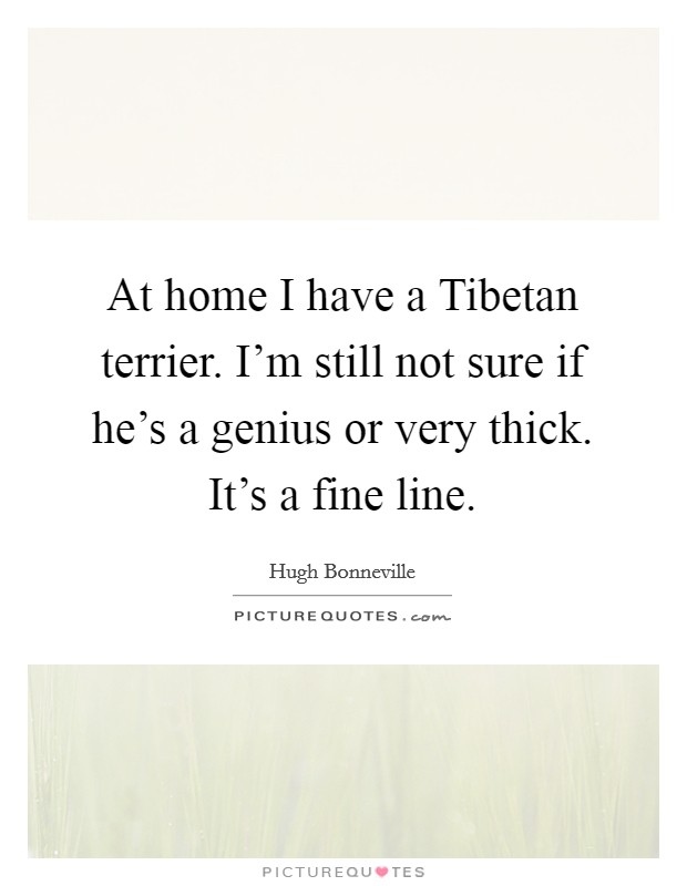 At home I have a Tibetan terrier. I'm still not sure if he's a genius or very thick. It's a fine line Picture Quote #1