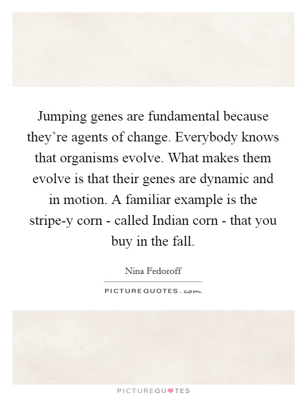 Jumping genes are fundamental because they're agents of change. Everybody knows that organisms evolve. What makes them evolve is that their genes are dynamic and in motion. A familiar example is the stripe-y corn - called Indian corn - that you buy in the fall Picture Quote #1