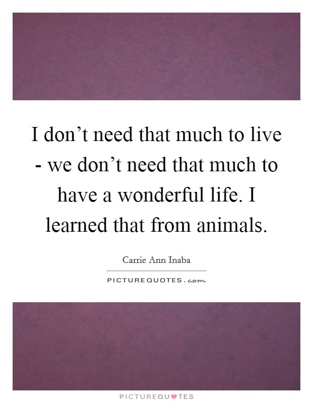 I don't need that much to live - we don't need that much to have a wonderful life. I learned that from animals Picture Quote #1
