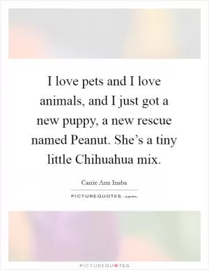 I love pets and I love animals, and I just got a new puppy, a new rescue named Peanut. She’s a tiny little Chihuahua mix Picture Quote #1