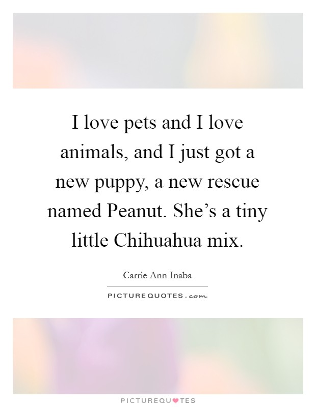 I love pets and I love animals, and I just got a new puppy, a new rescue named Peanut. She's a tiny little Chihuahua mix Picture Quote #1
