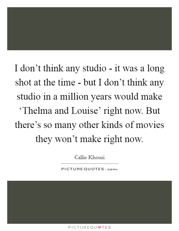 I don't think any studio - it was a long shot at the time - but I don't think any studio in a million years would make ‘Thelma and Louise' right now. But there's so many other kinds of movies they won't make right now Picture Quote #1