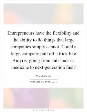Entrepreneurs have the flexibility and the ability to do things that large companies simply cannot. Could a large company pull off a trick like Amyris, going from anti-malaria medicine to next-generation fuel? Picture Quote #1