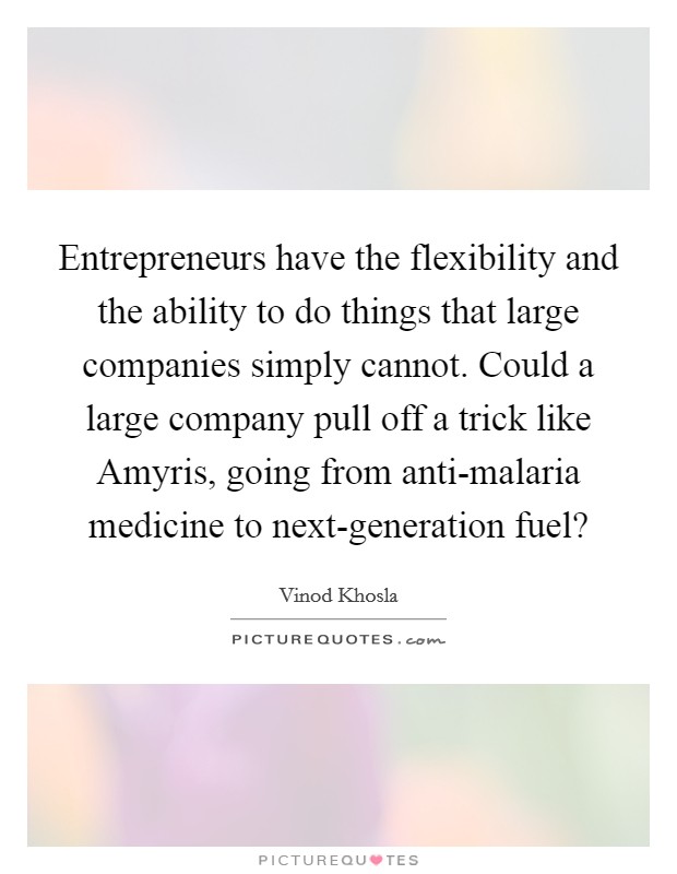 Entrepreneurs have the flexibility and the ability to do things that large companies simply cannot. Could a large company pull off a trick like Amyris, going from anti-malaria medicine to next-generation fuel? Picture Quote #1
