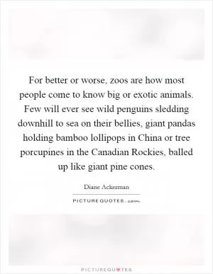 For better or worse, zoos are how most people come to know big or exotic animals. Few will ever see wild penguins sledding downhill to sea on their bellies, giant pandas holding bamboo lollipops in China or tree porcupines in the Canadian Rockies, balled up like giant pine cones Picture Quote #1