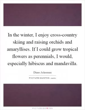 In the winter, I enjoy cross-country skiing and raising orchids and amaryllises. If I could grow tropical flowers as perennials, I would, especially hibiscus and mandavilla Picture Quote #1