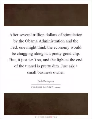 After several trillion dollars of stimulation by the Obama Administration and the Fed, one might think the economy would be chugging along at a pretty good clip. But, it just isn’t so, and the light at the end of the tunnel is pretty dim. Just ask a small business owner Picture Quote #1