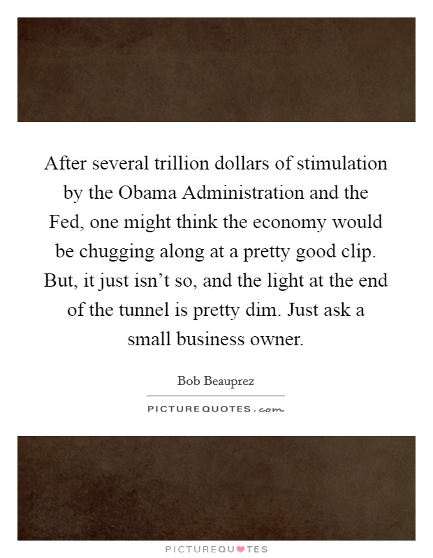 After several trillion dollars of stimulation by the Obama Administration and the Fed, one might think the economy would be chugging along at a pretty good clip. But, it just isn't so, and the light at the end of the tunnel is pretty dim. Just ask a small business owner Picture Quote #1