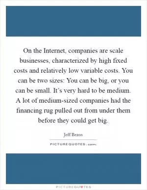 On the Internet, companies are scale businesses, characterized by high fixed costs and relatively low variable costs. You can be two sizes: You can be big, or you can be small. It’s very hard to be medium. A lot of medium-sized companies had the financing rug pulled out from under them before they could get big Picture Quote #1