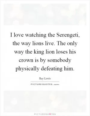 I love watching the Serengeti, the way lions live. The only way the king lion loses his crown is by somebody physically defeating him Picture Quote #1