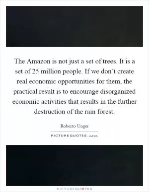The Amazon is not just a set of trees. It is a set of 25 million people. If we don’t create real economic opportunities for them, the practical result is to encourage disorganized economic activities that results in the further destruction of the rain forest Picture Quote #1