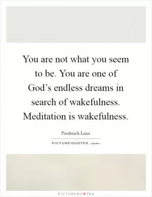 You are not what you seem to be. You are one of God’s endless dreams in search of wakefulness. Meditation is wakefulness Picture Quote #1