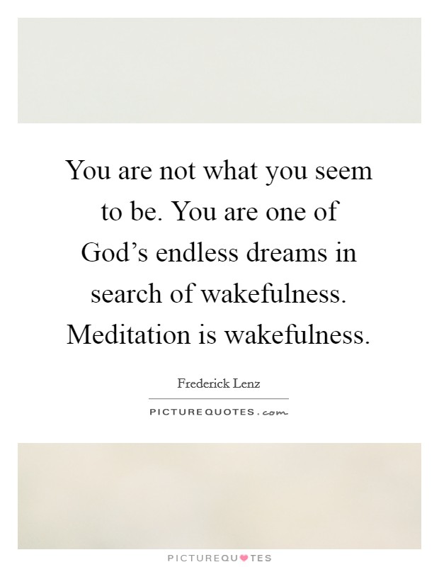 You are not what you seem to be. You are one of God's endless dreams in search of wakefulness. Meditation is wakefulness Picture Quote #1