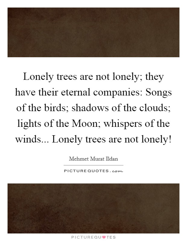 Lonely trees are not lonely; they have their eternal companies: Songs of the birds; shadows of the clouds; lights of the Moon; whispers of the winds... Lonely trees are not lonely! Picture Quote #1