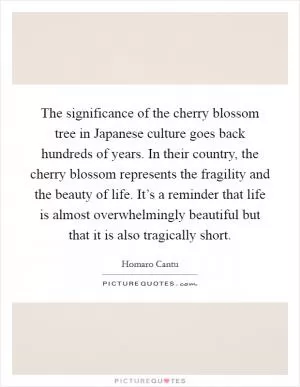 The significance of the cherry blossom tree in Japanese culture goes back hundreds of years. In their country, the cherry blossom represents the fragility and the beauty of life. It’s a reminder that life is almost overwhelmingly beautiful but that it is also tragically short Picture Quote #1