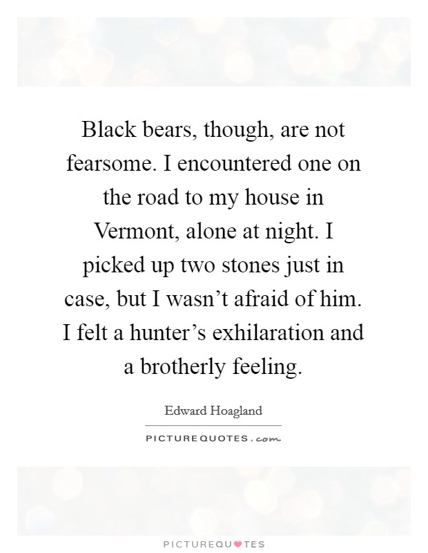 Black bears, though, are not fearsome. I encountered one on the road to my house in Vermont, alone at night. I picked up two stones just in case, but I wasn't afraid of him. I felt a hunter's exhilaration and a brotherly feeling Picture Quote #1