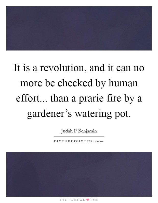 It is a revolution, and it can no more be checked by human effort... than a prarie fire by a gardener's watering pot Picture Quote #1