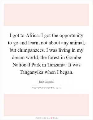 I got to Africa. I got the opportunity to go and learn, not about any animal, but chimpanzees. I was living in my dream world, the forest in Gombe National Park in Tanzania. It was Tanganyika when I began Picture Quote #1