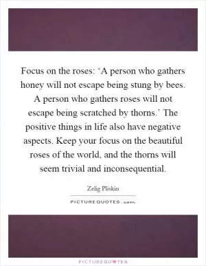 Focus on the roses: ‘A person who gathers honey will not escape being stung by bees. A person who gathers roses will not escape being scratched by thorns.’ The positive things in life also have negative aspects. Keep your focus on the beautiful roses of the world, and the thorns will seem trivial and inconsequential Picture Quote #1