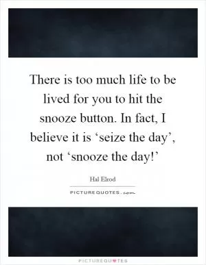 There is too much life to be lived for you to hit the snooze button. In fact, I believe it is ‘seize the day’, not ‘snooze the day!’ Picture Quote #1