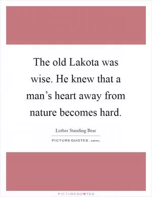 The old Lakota was wise. He knew that a man’s heart away from nature becomes hard Picture Quote #1