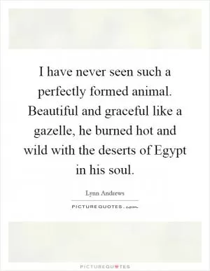 I have never seen such a perfectly formed animal. Beautiful and graceful like a gazelle, he burned hot and wild with the deserts of Egypt in his soul Picture Quote #1